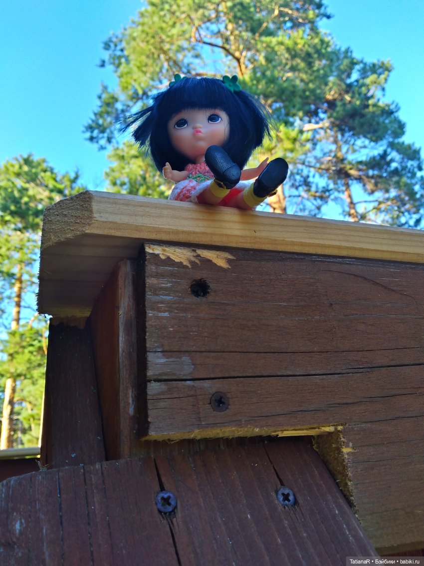 Дануткино лето на Финском заливе. Азиатские куклы Duoding Dokelly Toys