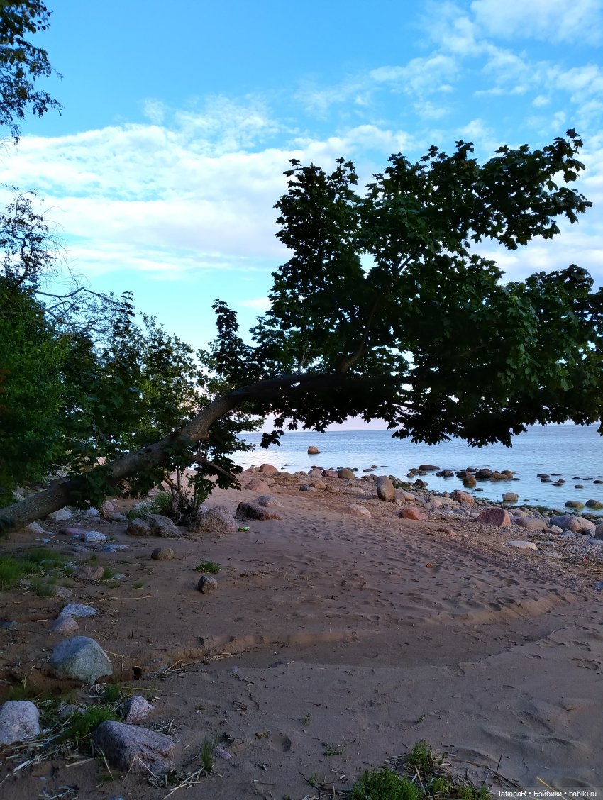 Дануткино лето на Финском заливе. Азиатские куклы Duoding Dokelly Toys