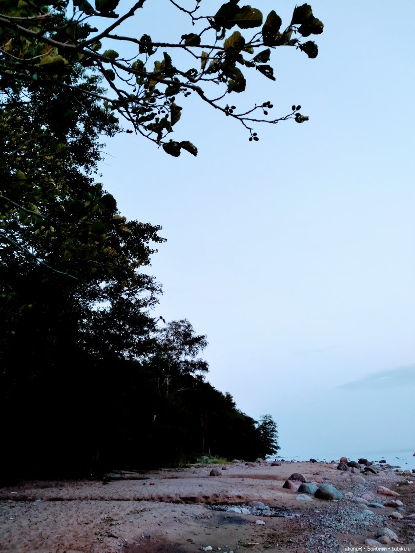 Дануткино лето на Финском заливе. Азиатские куклы Duoding Dokelly Toys