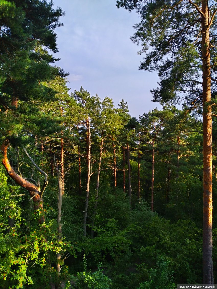 Дануткино лето на Финском заливе. Азиатские куклы Duoding Dokelly Toys (фото 7)