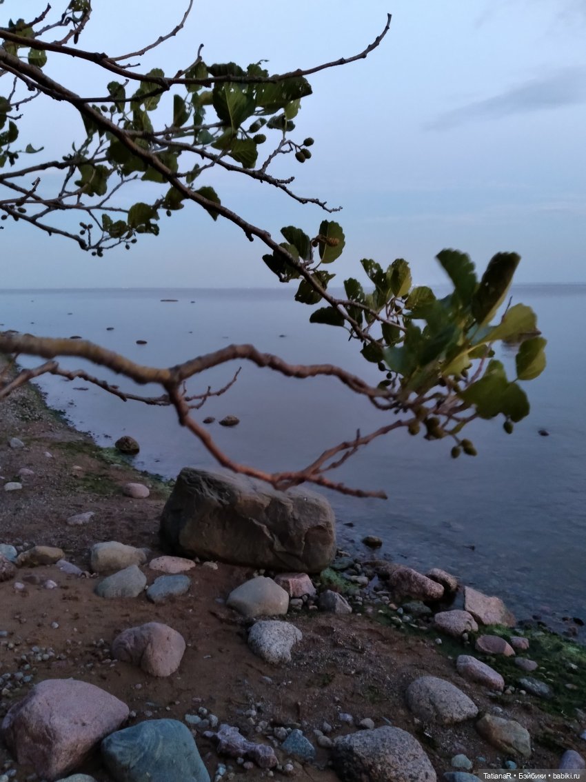 Дануткино лето на Финском заливе. Азиатские куклы Duoding Dokelly Toys