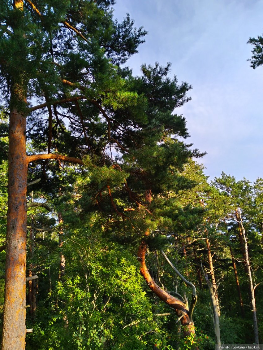 Дануткино лето на Финском заливе. Азиатские куклы Duoding Dokelly Toys