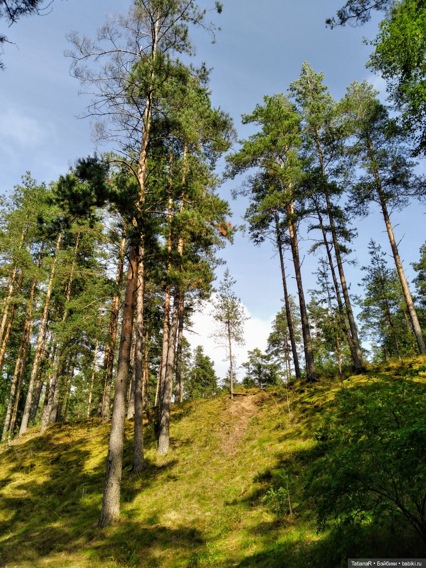 Дануткино лето на Финском заливе. Азиатские куклы Duoding Dokelly Toys