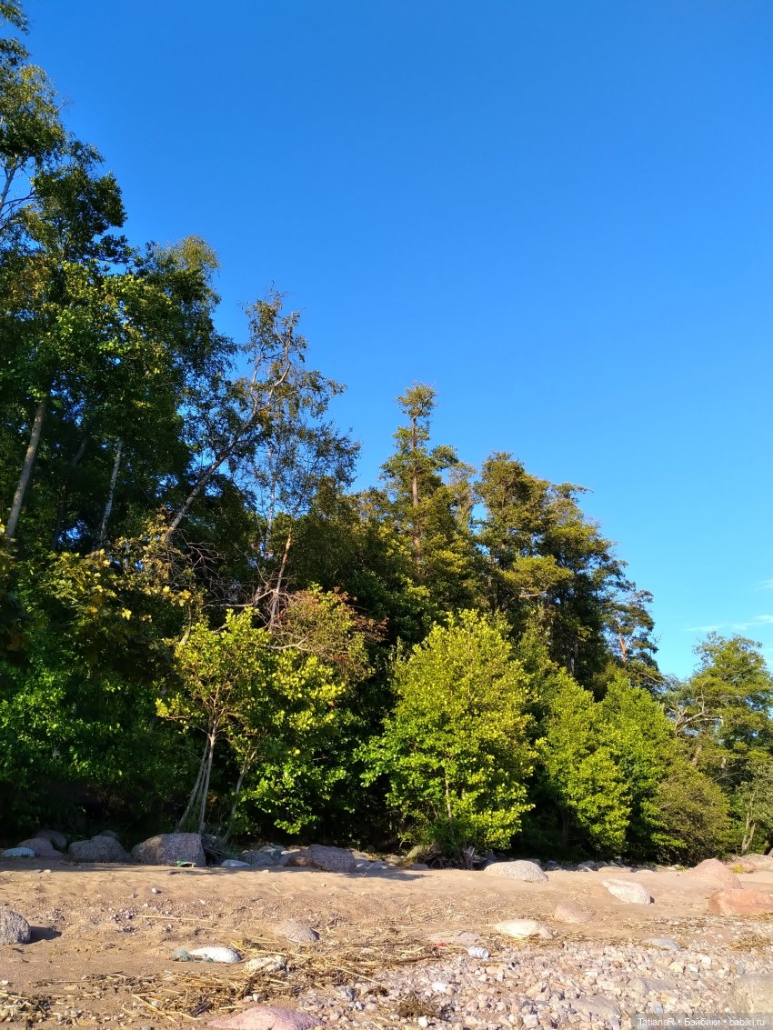 Дануткино лето на Финском заливе. Азиатские куклы Duoding Dokelly Toys (фото 5)