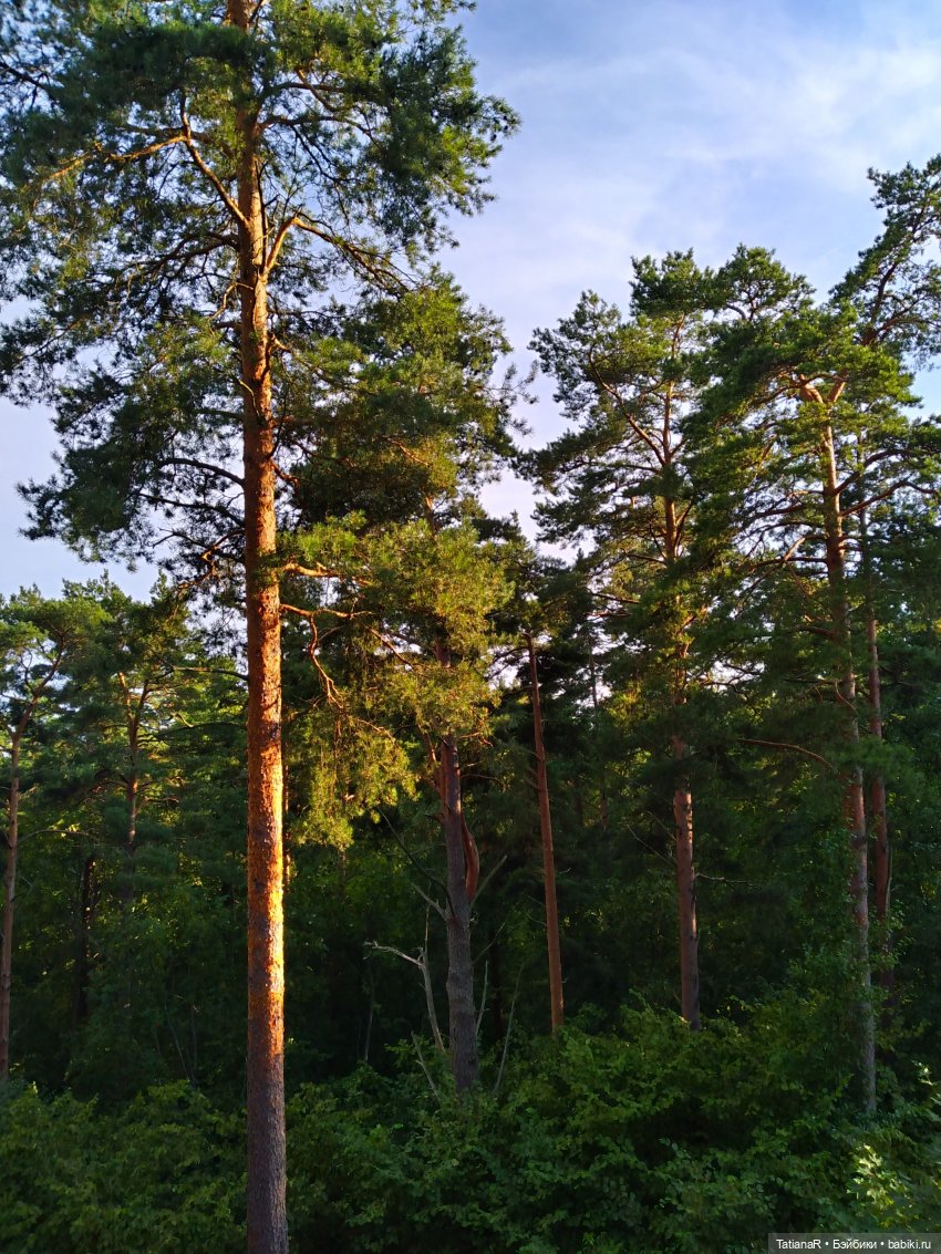 Дануткино лето на Финском заливе. Азиатские куклы Duoding Dokelly Toys