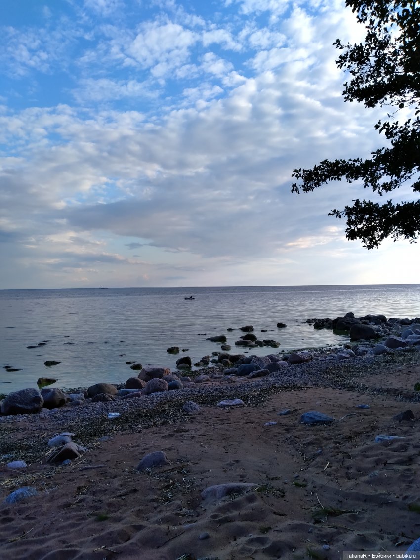 Дануткино лето на Финском заливе. Азиатские куклы Duoding Dokelly Toys