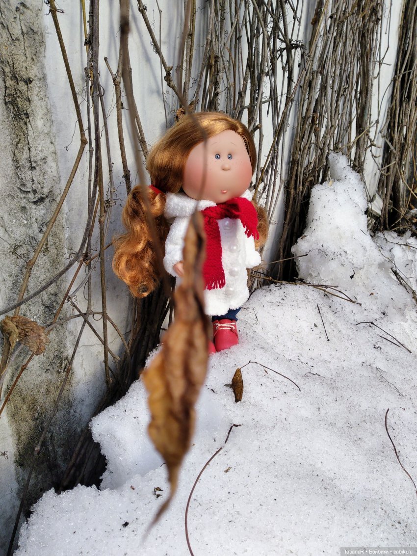 Размышления о моих Миях и их Мийские истории