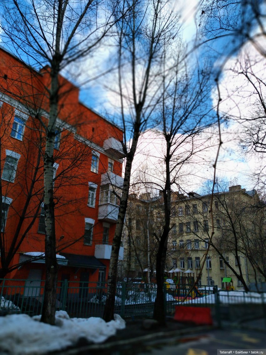 Размышления о моих Миях и их Мийские истории