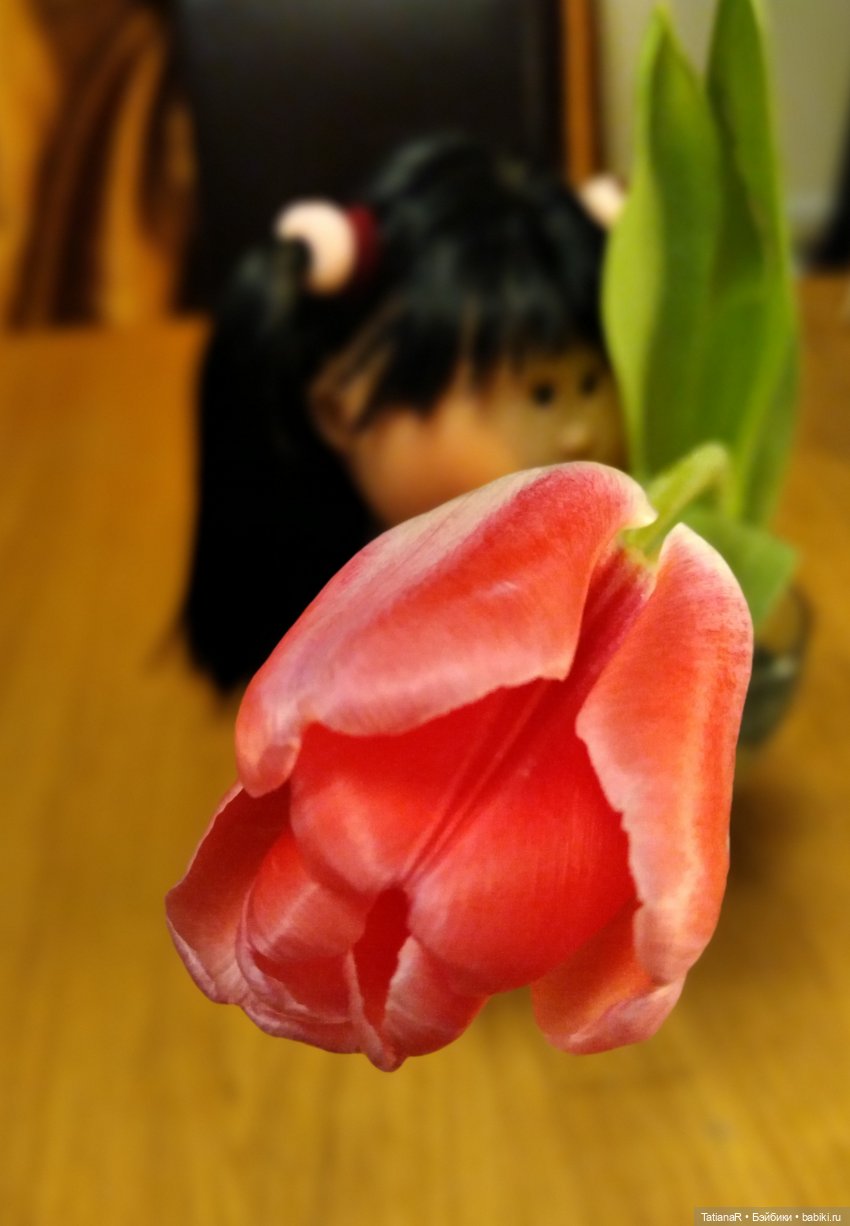 Наша Мийская Капитолина — Куклы Nines d'Onil (Нинес): Миа (Mia)