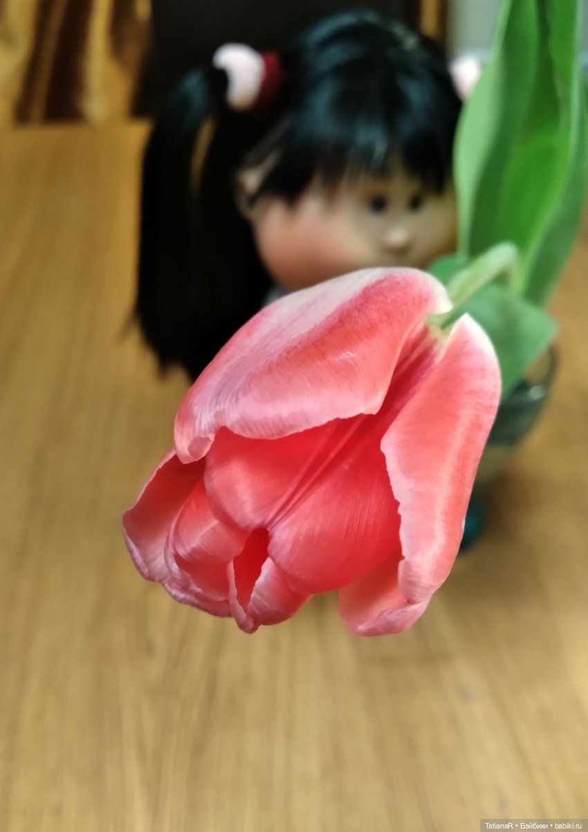 Наша Мийская Капитолина — Куклы Nines d'Onil (Нинес): Миа (Mia)