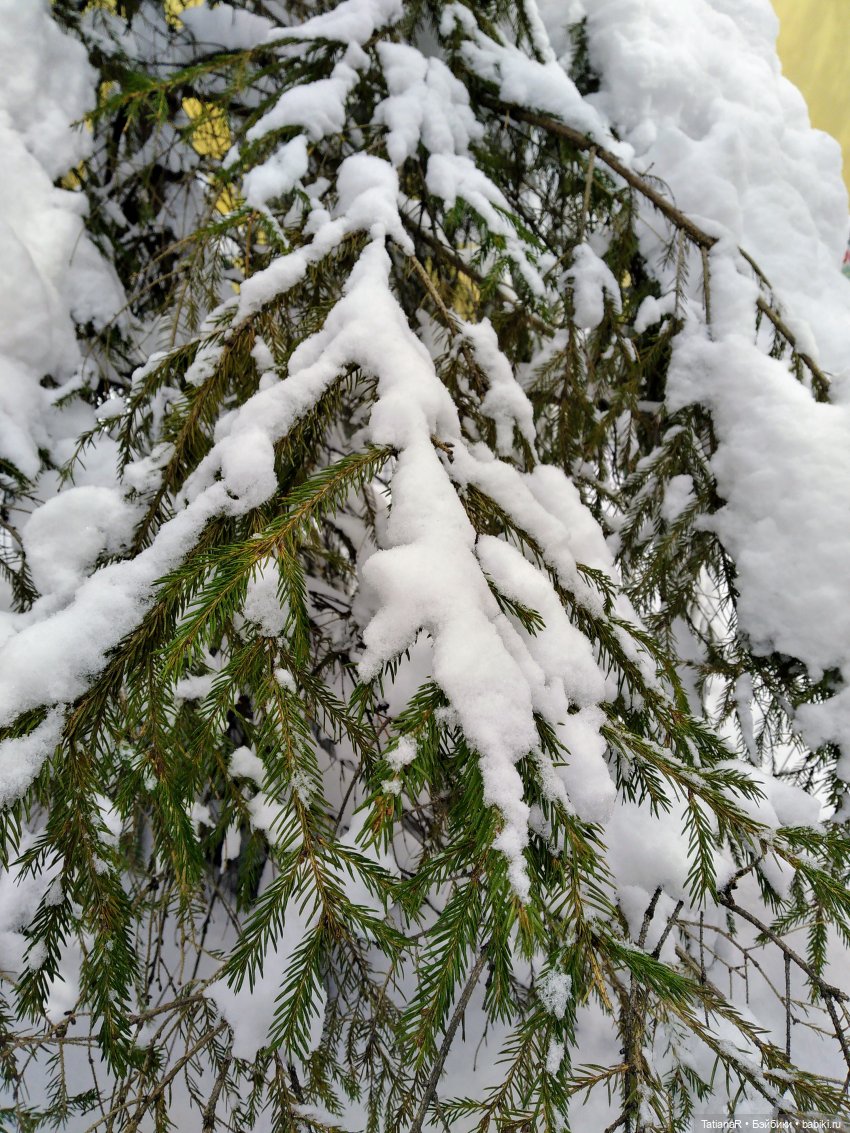 Мии - модницы мои, и апрельская зима