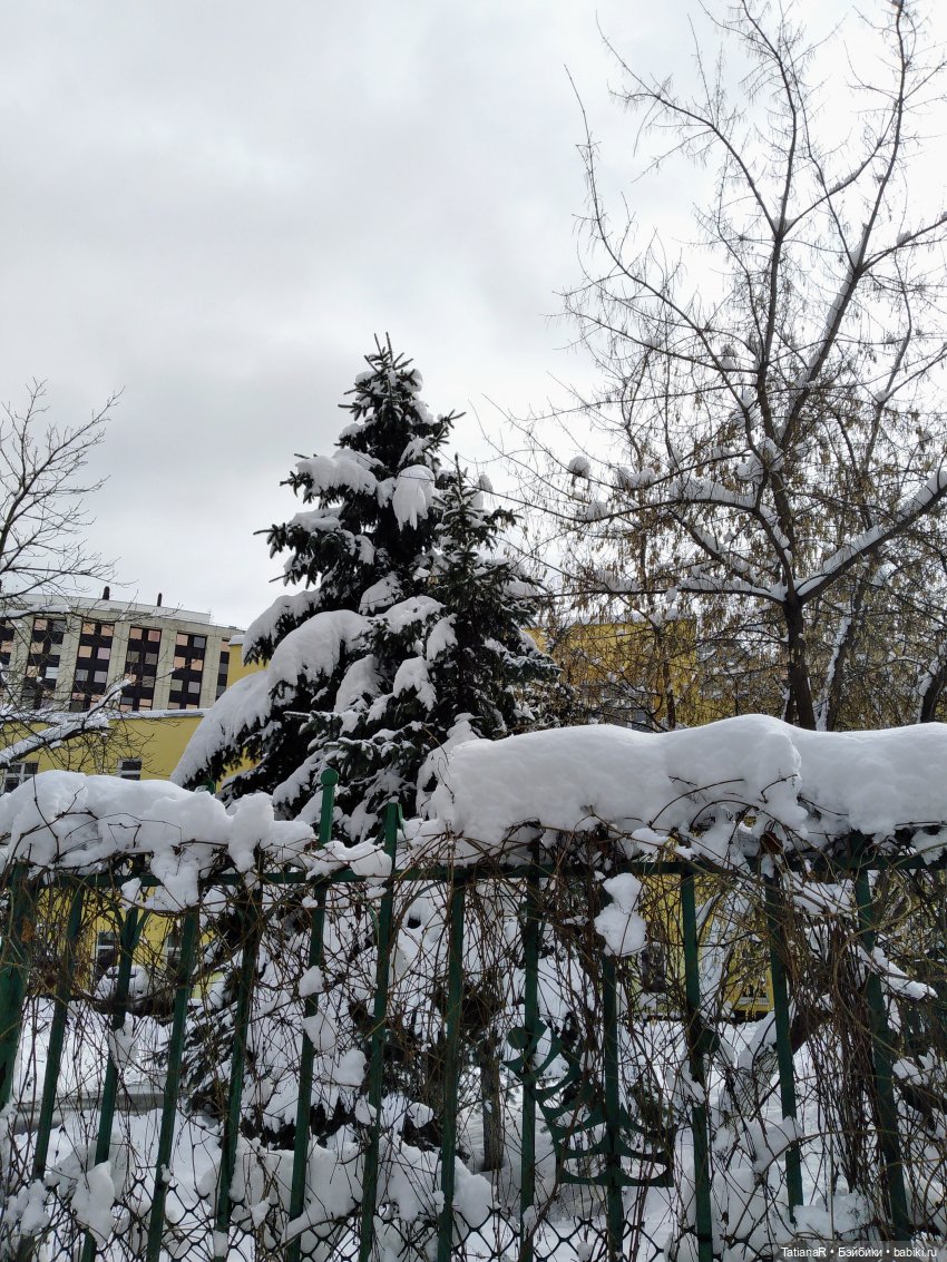 Мии - модницы мои, и апрельская зима