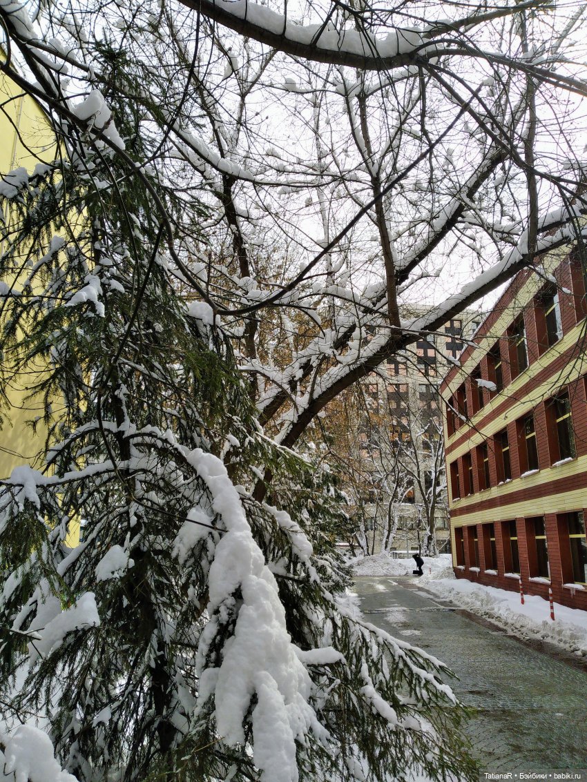 Мии - модницы мои, и апрельская зима