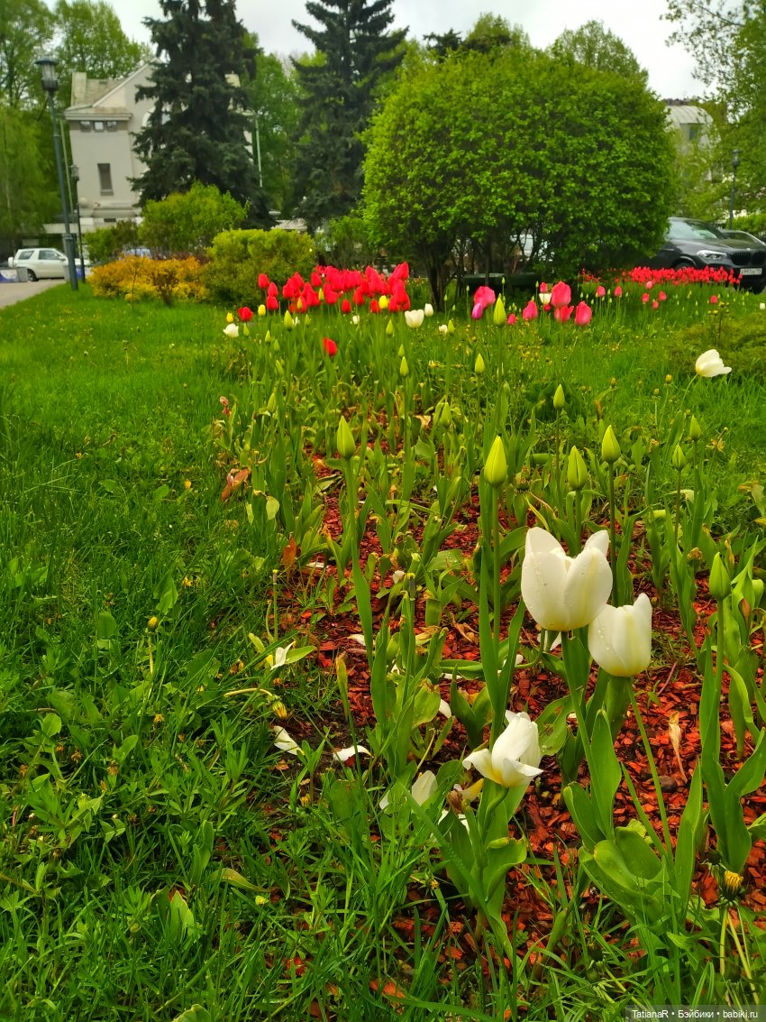 О, Соня Миа — Куклы Nines d'Onil (Нинес): Миа (Mia) (фото 9)