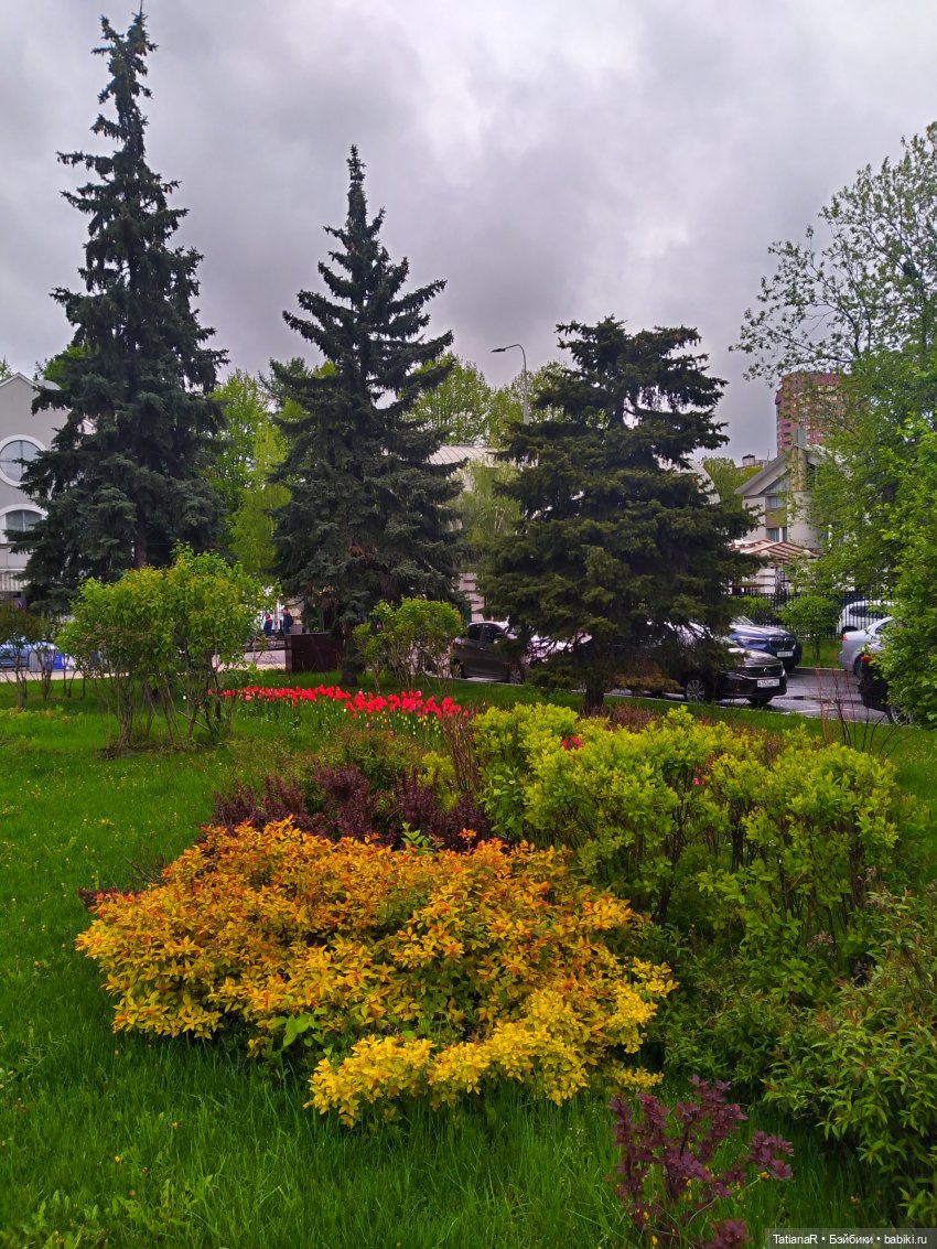 О, Соня Миа — Куклы Nines d'Onil (Нинес): Миа (Mia) (фото 2)