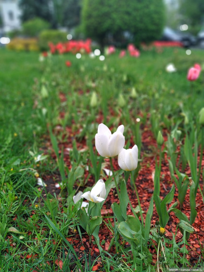 О, Соня Миа — Куклы Nines d'Onil (Нинес): Миа (Mia)