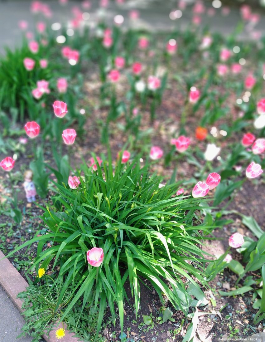 Таня и Яна в стране Великанов или Как надо правильно бояться. Авторские куклы БЖД Оксаны Мироновой