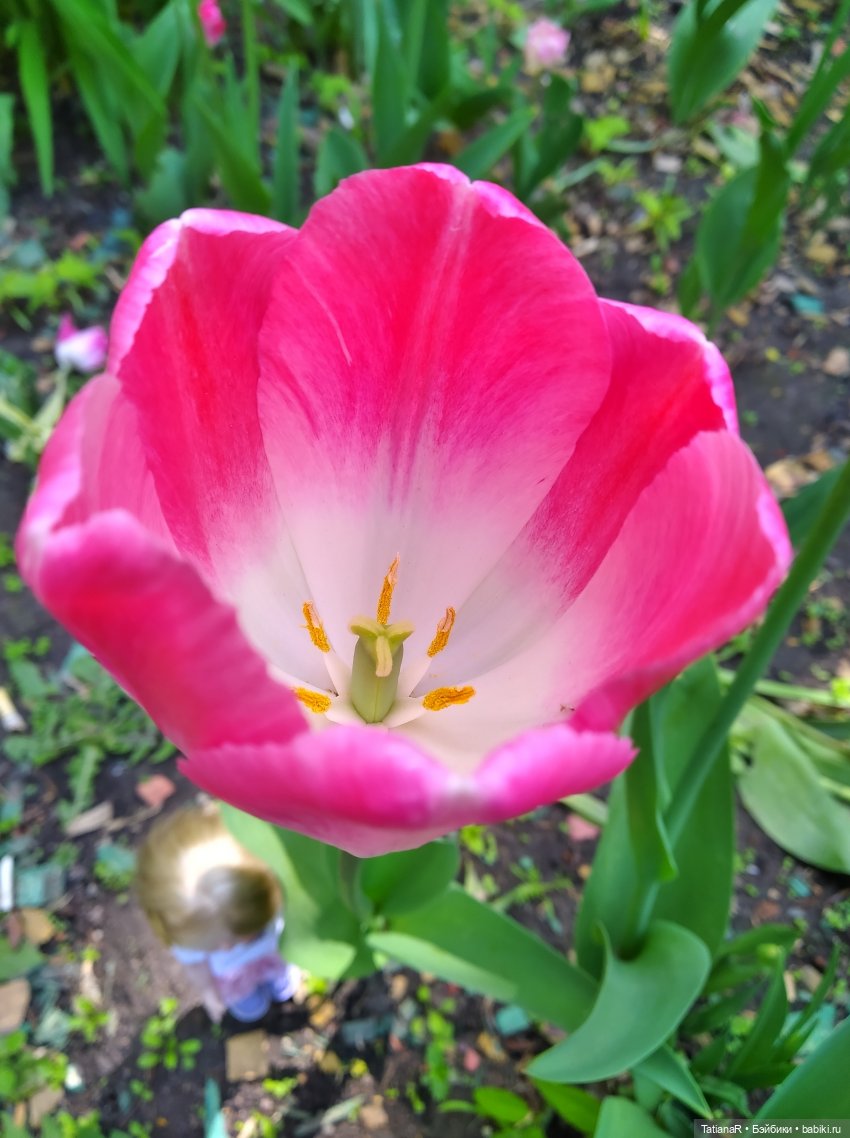 Таня и Яна в стране Великанов или Как надо правильно бояться. Авторские куклы БЖД Оксаны Мироновой