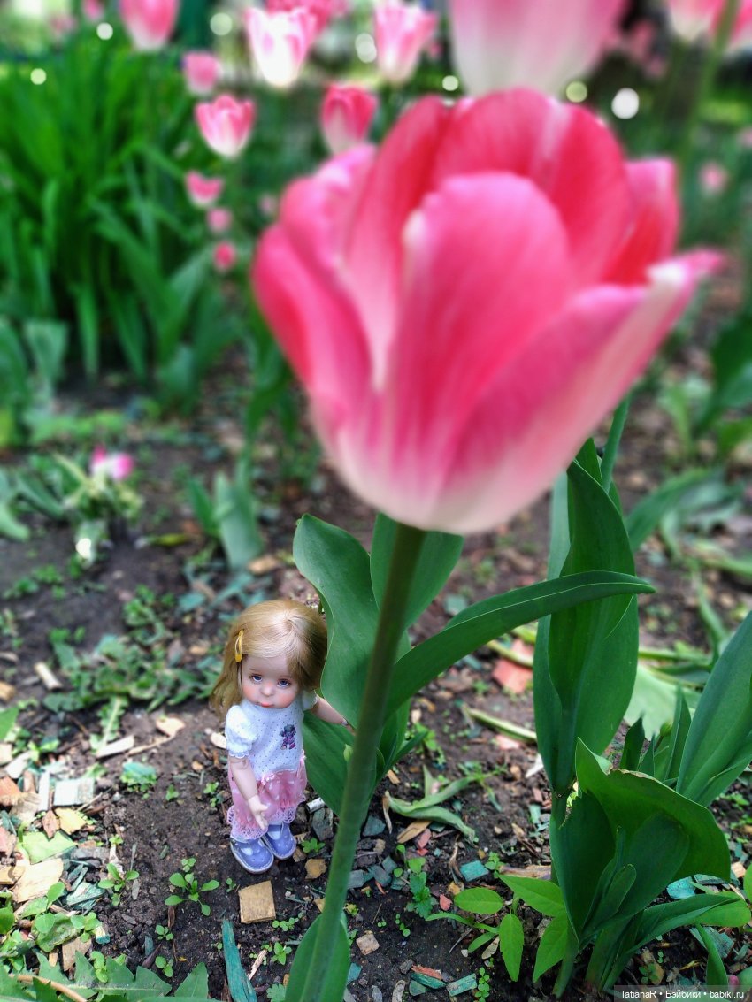 Таня и Яна в стране Великанов или Как надо правильно бояться. Авторские куклы БЖД Оксаны Мироновой