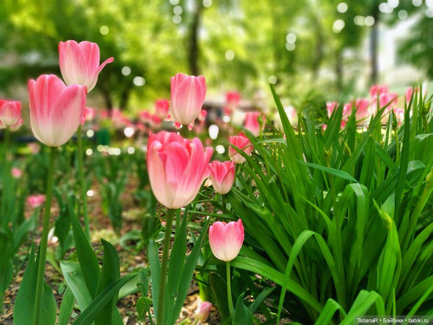 Таня и Яна в стране Великанов или Как надо правильно бояться. Авторские куклы БЖД Оксаны Мироновой