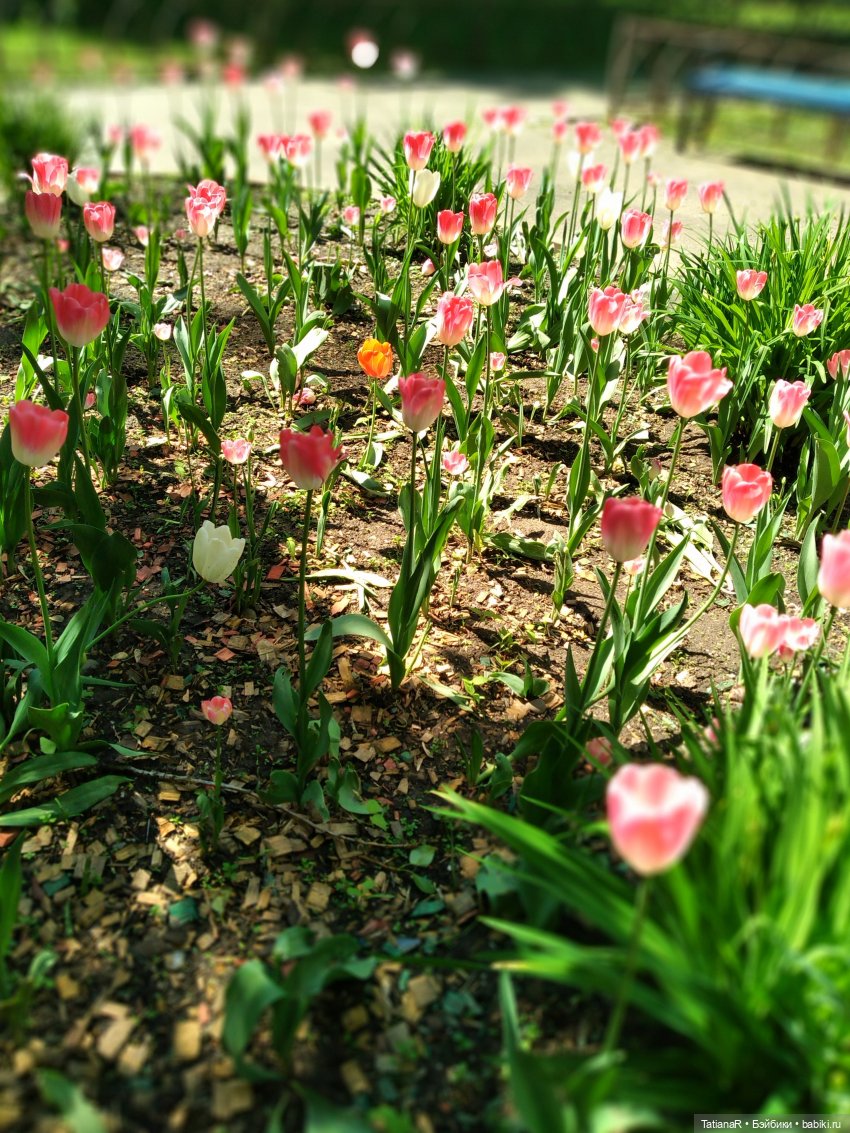 Таня и Яна в стране Великанов или Как надо правильно бояться. Авторские куклы БЖД Оксаны Мироновой