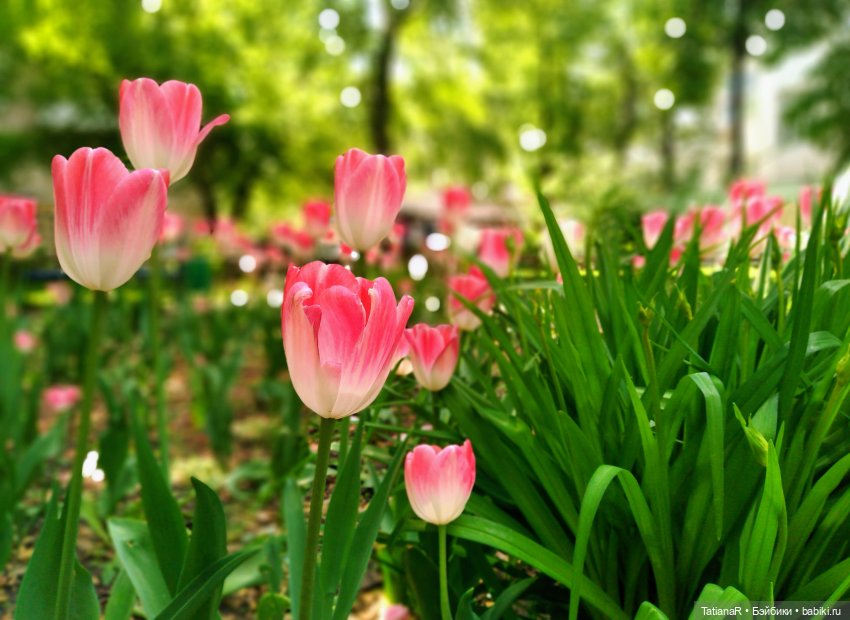 Таня и Яна в стране Великанов или Как надо правильно бояться. Авторские куклы БЖД Оксаны Мироновой