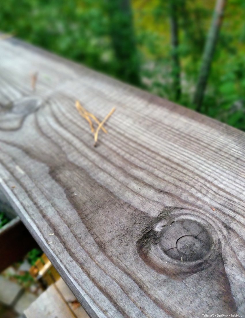 Две сестры. Вихтели Rosemarie Anna Muller | Бэйбики Две сестры. Вихтели Rosemarie Anna Muller