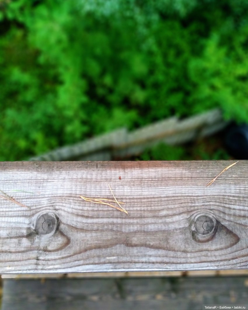 Две сестры. Вихтели Rosemarie Anna Muller | Бэйбики Две сестры. Вихтели Rosemarie Anna Muller