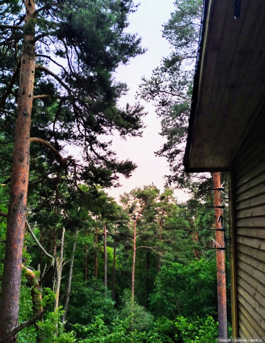 Две сестры. Вихтели Rosemarie Anna Muller | Бэйбики Две сестры. Вихтели Rosemarie Anna Muller