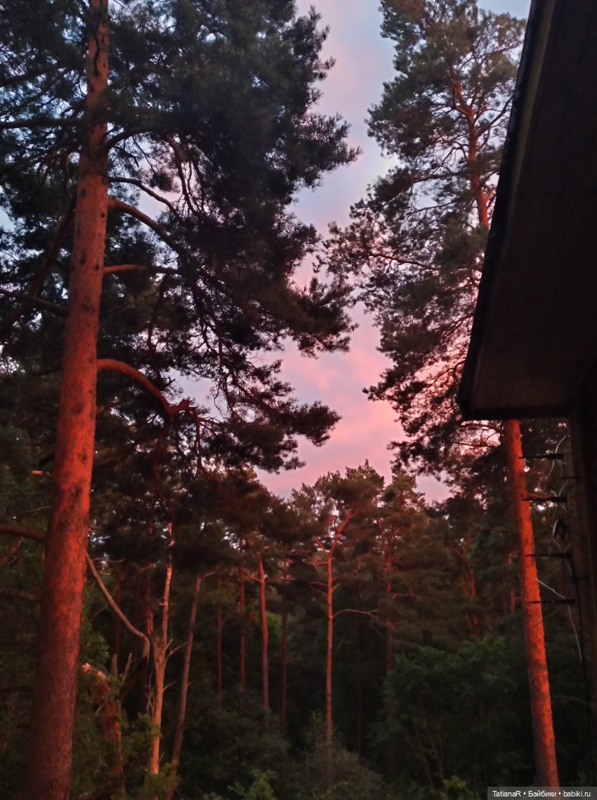 Две сестры. Вихтели Rosemarie Anna Muller | Бэйбики Две сестры. Вихтели Rosemarie Anna Muller