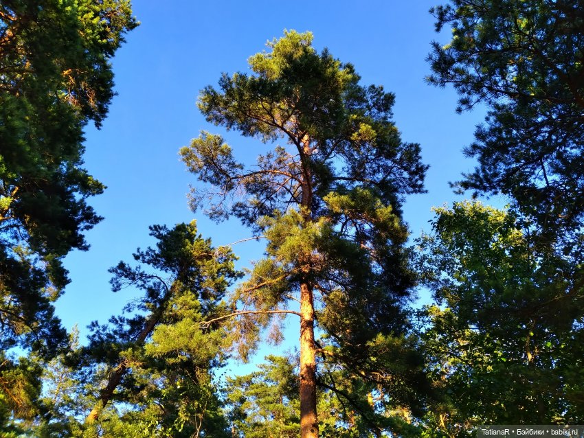 Две сестры. Вихтели Rosemarie Anna Muller | Бэйбики Две сестры. Вихтели Rosemarie Anna Muller