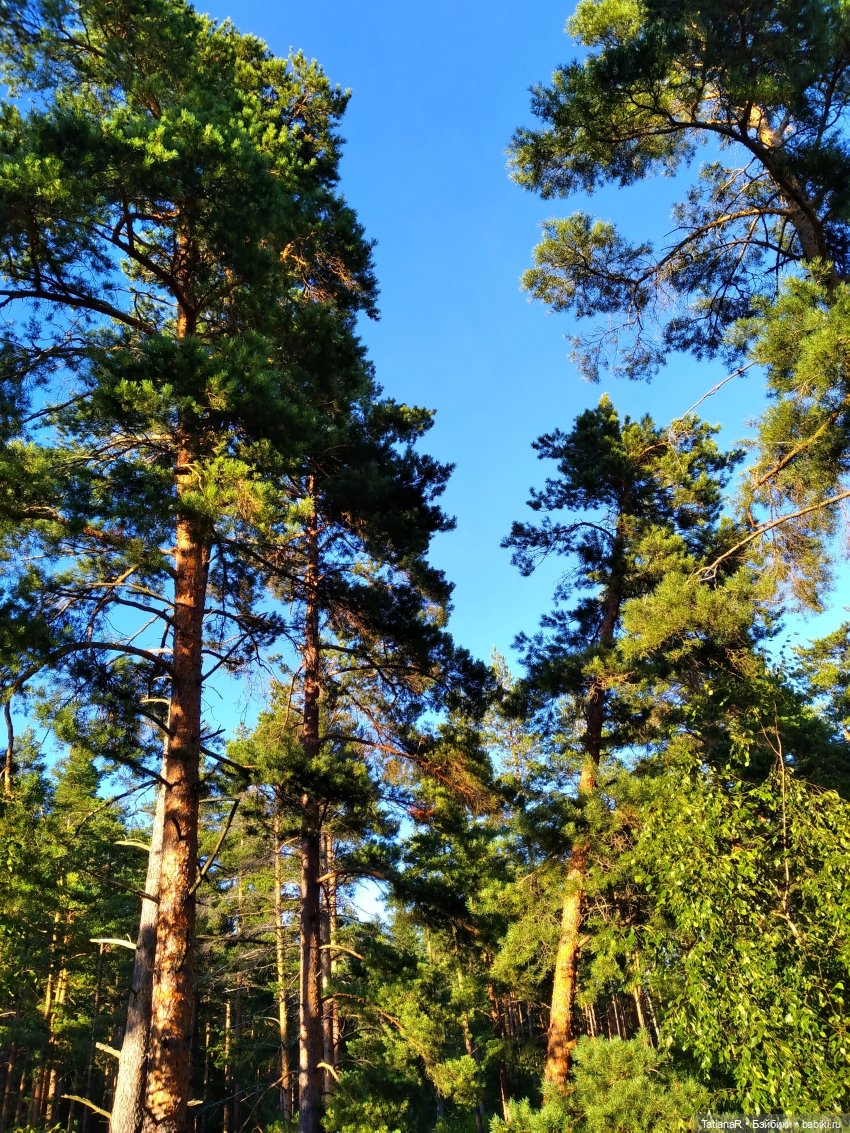 Две сестры. Вихтели Rosemarie Anna Muller | Бэйбики Две сестры. Вихтели Rosemarie Anna Muller