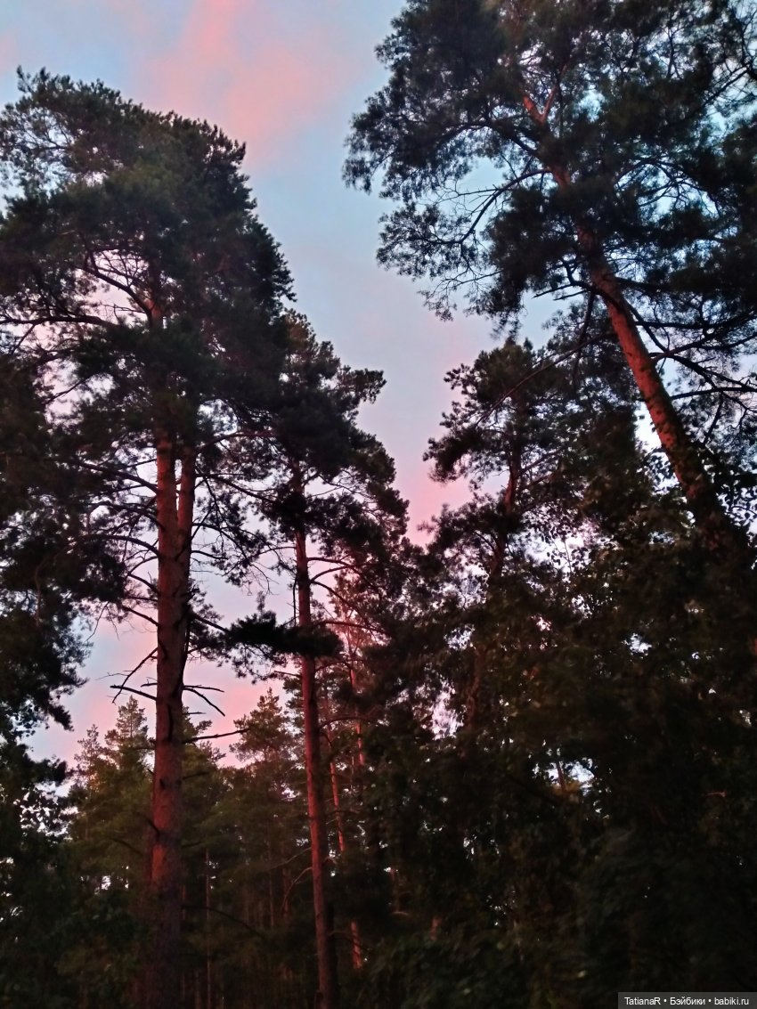 Две сестры. Вихтели Rosemarie Anna Muller | Бэйбики Две сестры. Вихтели Rosemarie Anna Muller