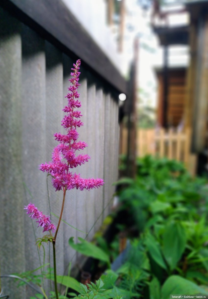 Две сестры. Вихтели Rosemarie Anna Muller | Бэйбики Две сестры. Вихтели Rosemarie Anna Muller