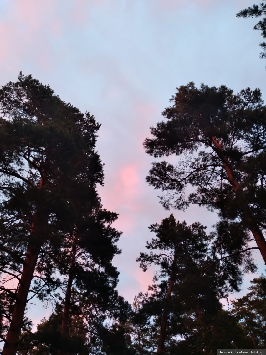 Две сестры. Вихтели Rosemarie Anna Muller | Бэйбики Две сестры. Вихтели Rosemarie Anna Muller