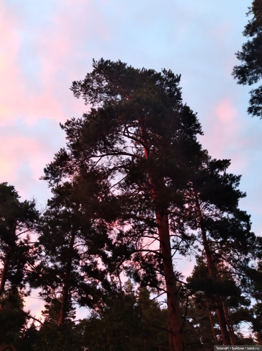 Две сестры. Вихтели Rosemarie Anna Muller | Бэйбики Две сестры. Вихтели Rosemarie Anna Muller