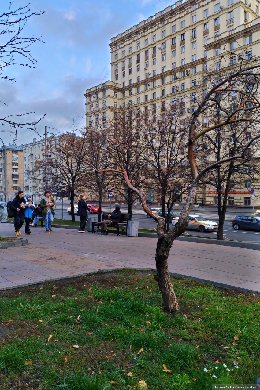 Нася и Медведь — Куклы Marina & Pau (Марина Пау): испанские пупсы и малыши (фото 2)