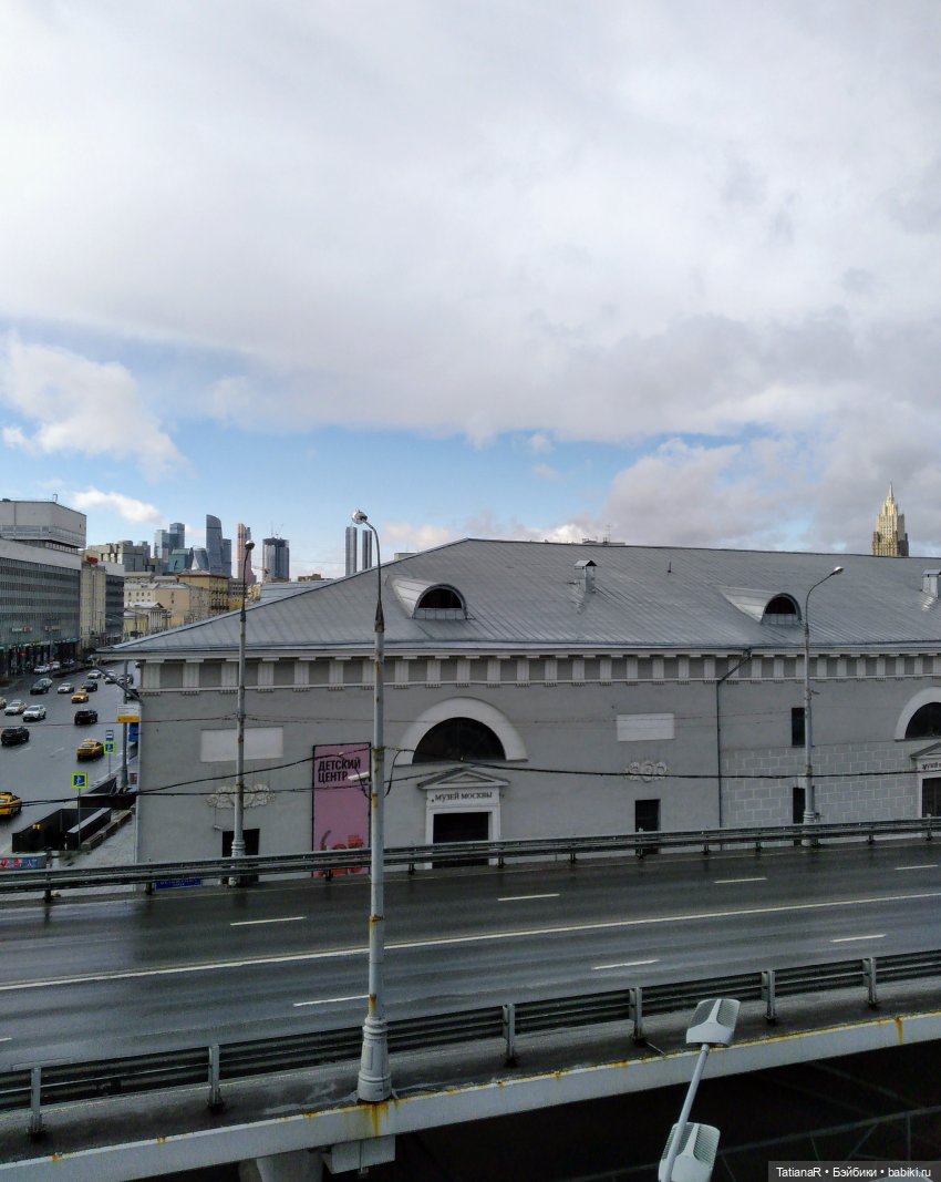 Венечка. Авторская собачка