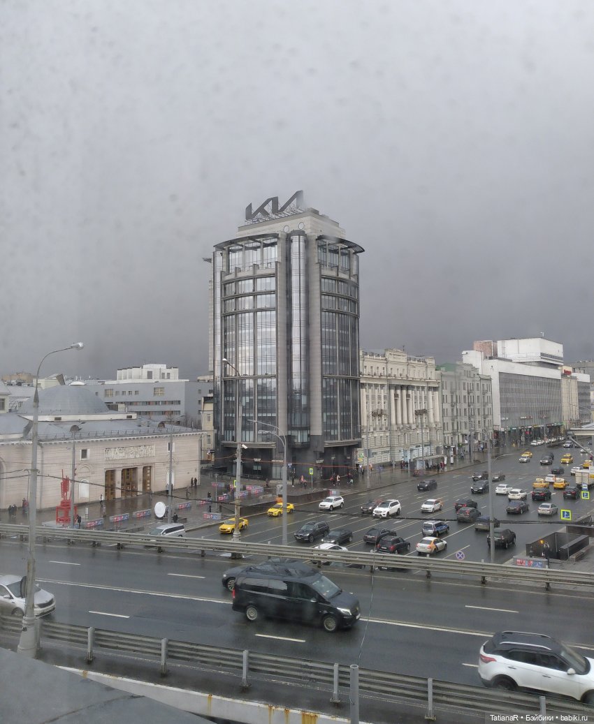 Венечка. Авторская собачка