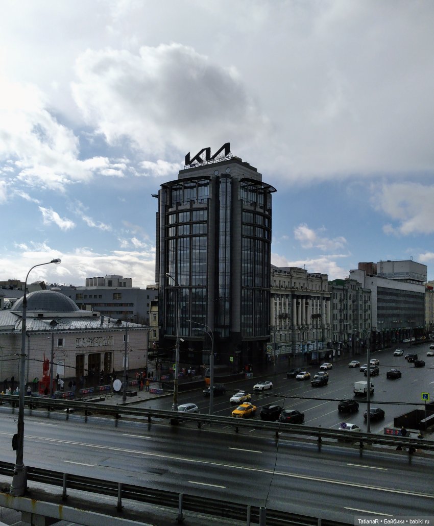 Венечка. Авторская собачка