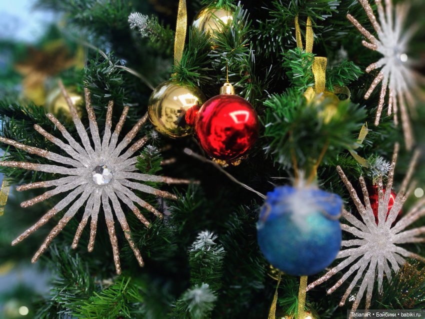 Венечка. Авторская собачка (фото 2)