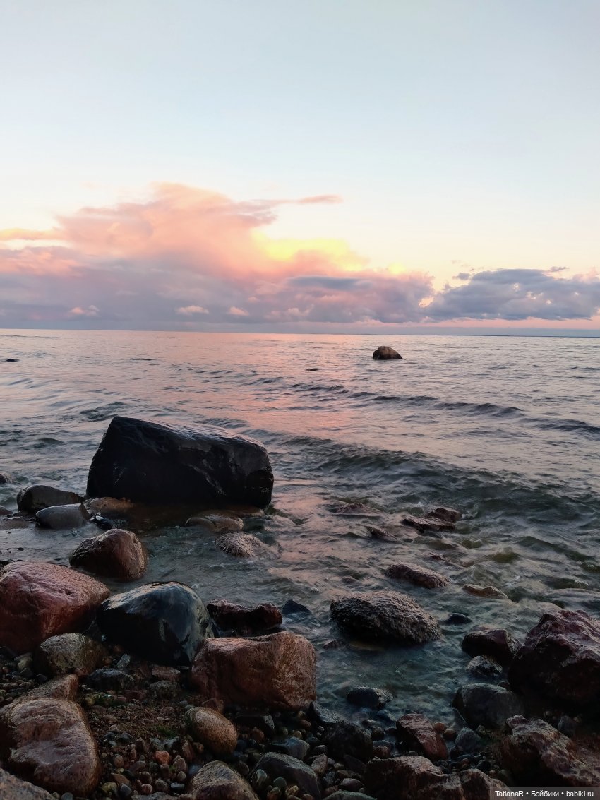 Венечка. Авторская собачка