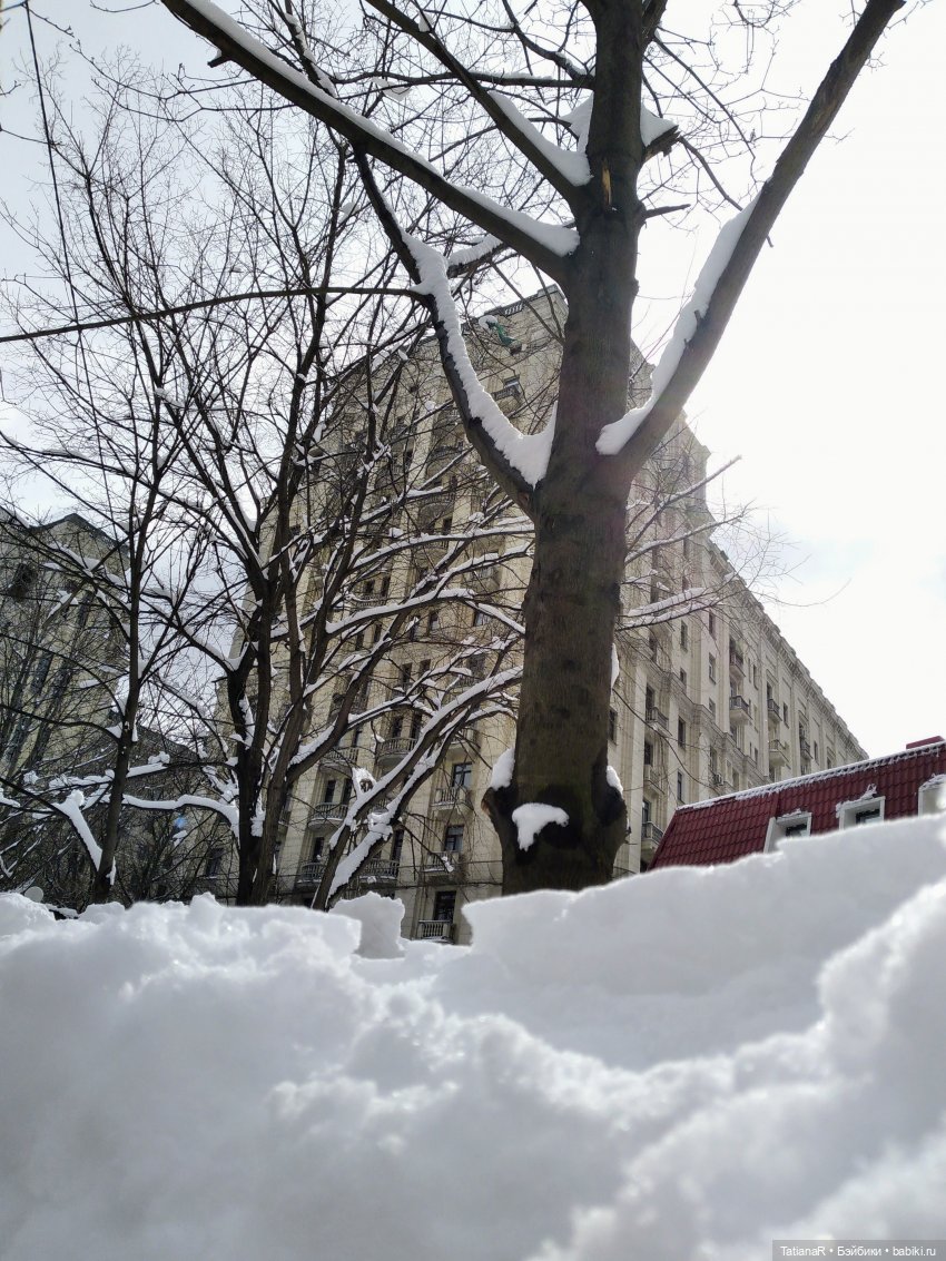 Венечка. Авторская собачка