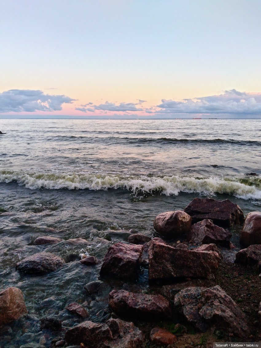 Венечка. Авторская собачка