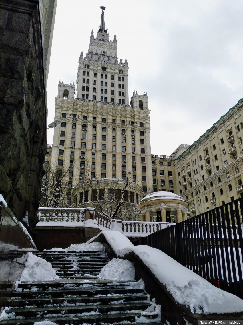 Венечка. Авторская собачка