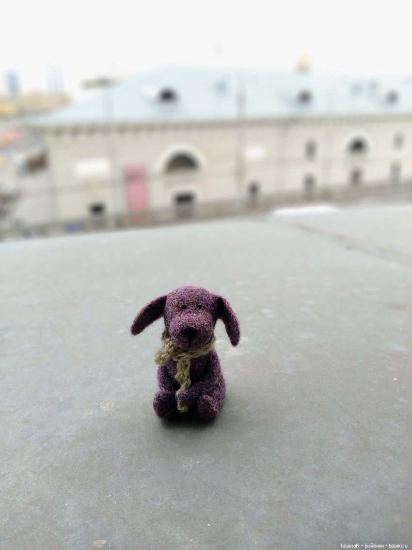 Венечка. Авторская собачка