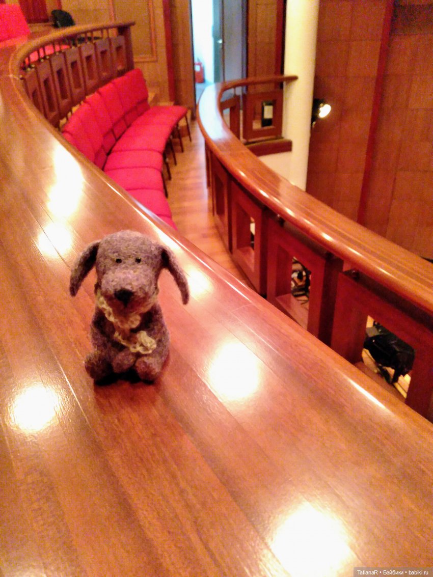 Венечка. Авторская собачка