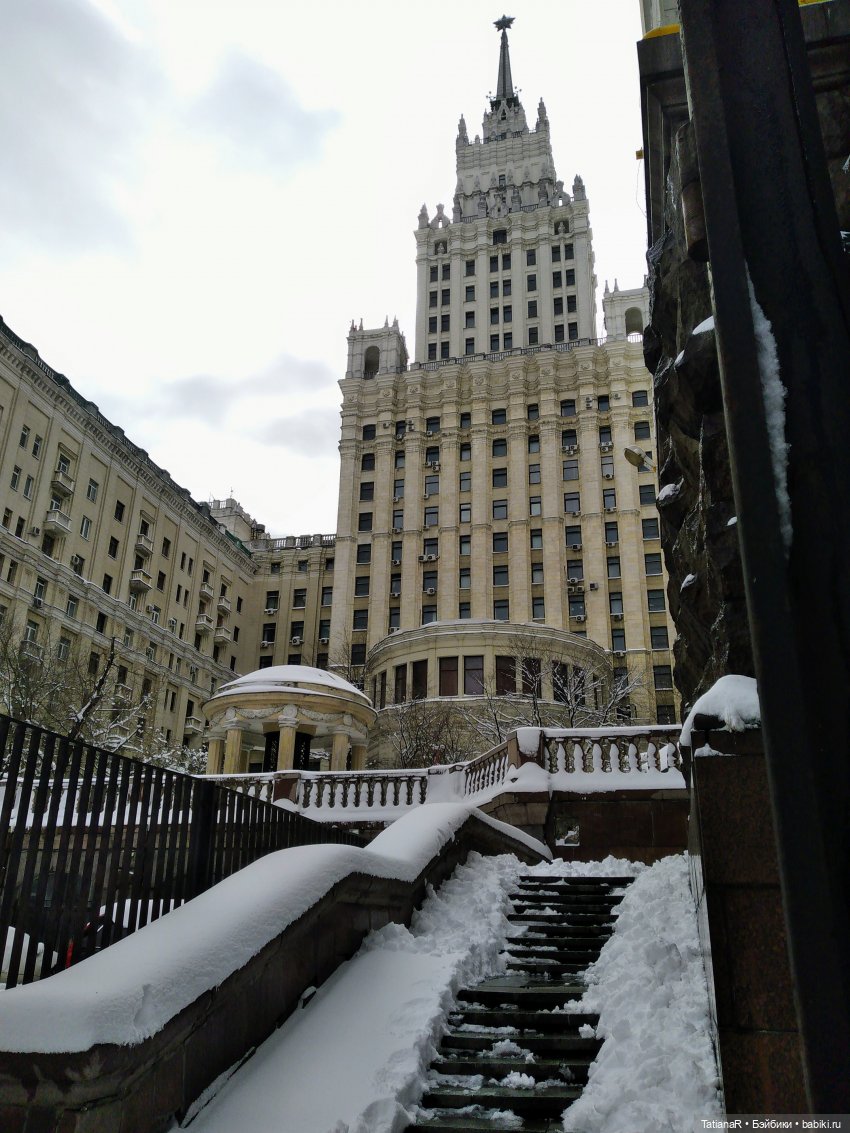 Венечка. Авторская собачка