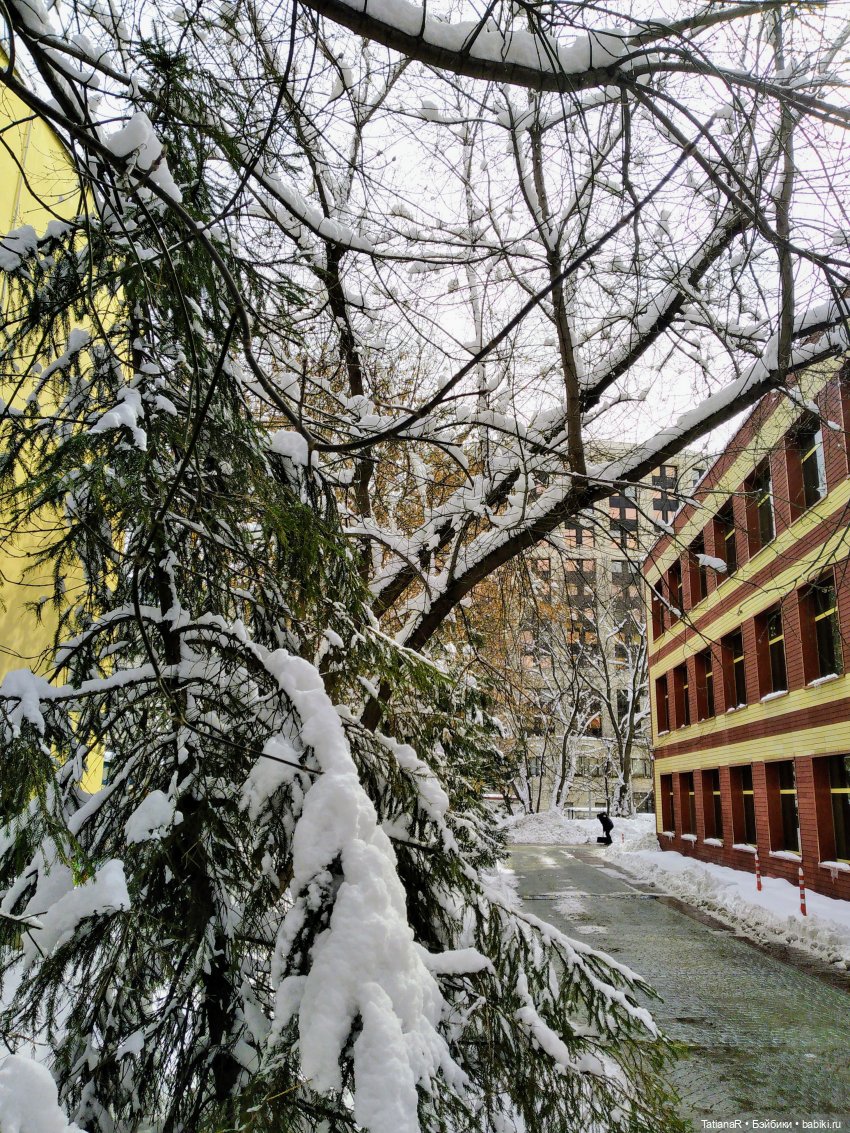 Венечка. Авторская собачка