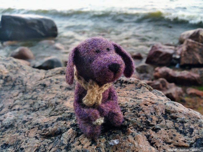 Венечка. Авторская собачка